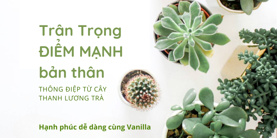 TRÂN TRỌNG ĐIỂM MẠNH BẢN THÂN