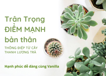 TRÂN TRỌNG ĐIỂM MẠNH BẢN THÂN