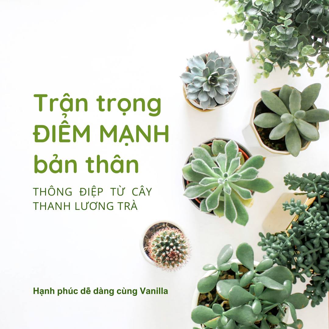 Khám phá bản thân, Sống với Đam mê cùng Vanilla Coach.